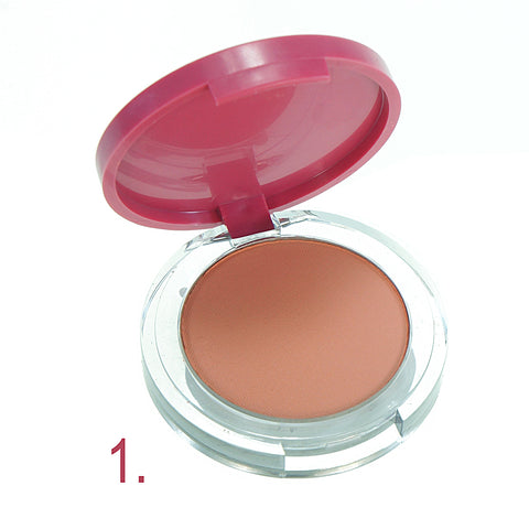 THE BEST BLUSH POWDER