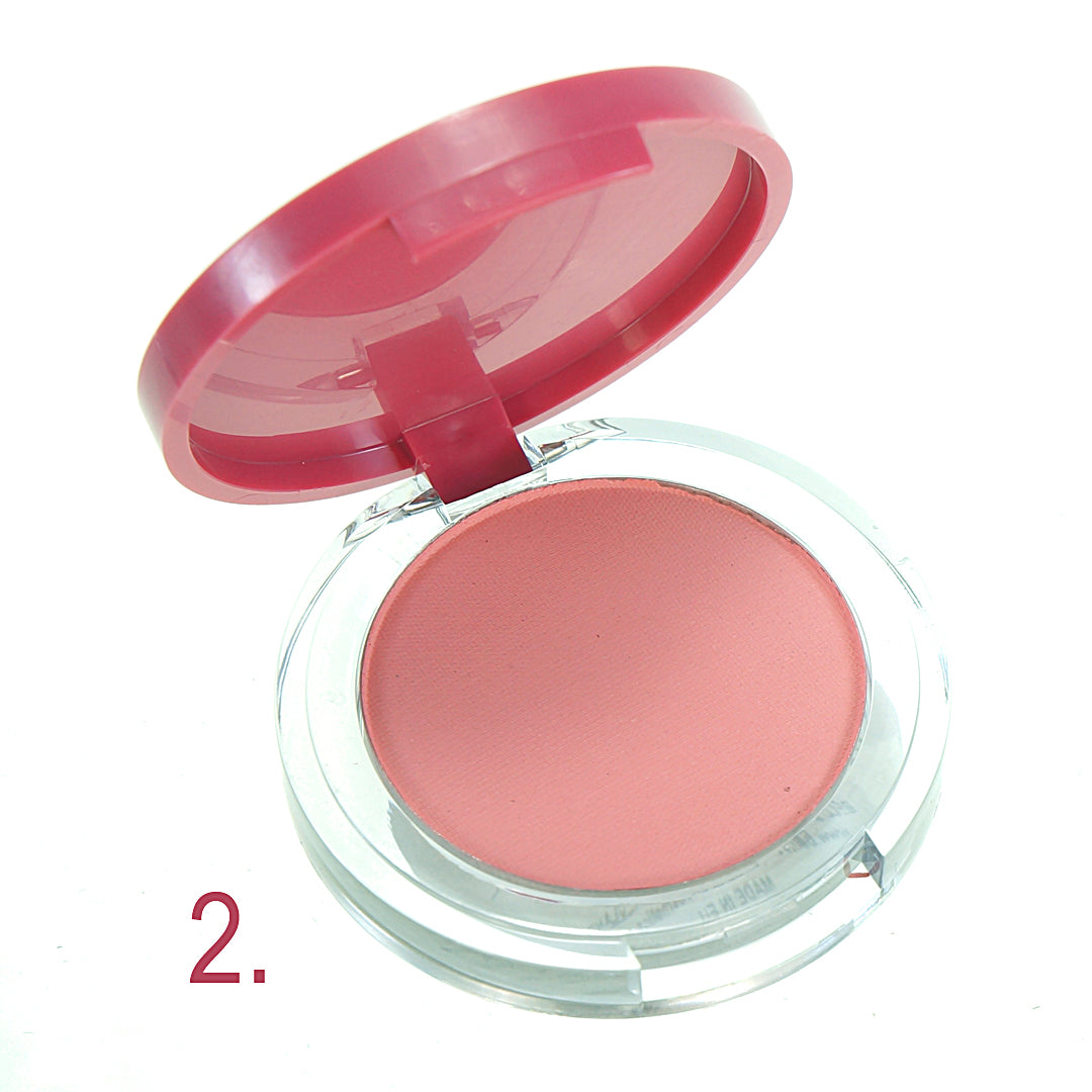 THE BEST BLUSH POWDER